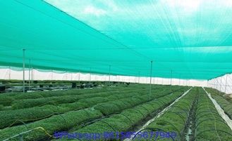 Sun Shade Net for Agriculture, Shading Rate 50% 60% 70% 80%