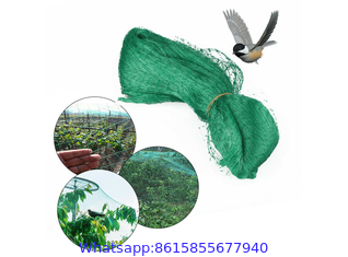 Fruit Tree Netting, Bird Netting For Fruit Trees