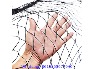 Bird-Preventing Anti Bird Netting