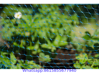 Bird Block Mesh Netting, Plastic Bird Netting