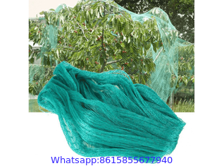 Bird Netting for Gardens