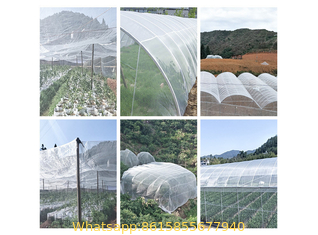Insect Netting for Vegetable Gardens