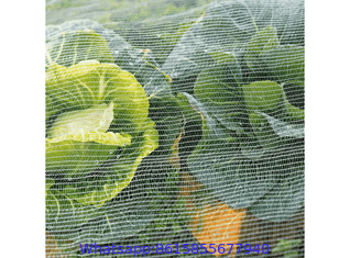 Pest Control Netting & Insect Exclusion Netting