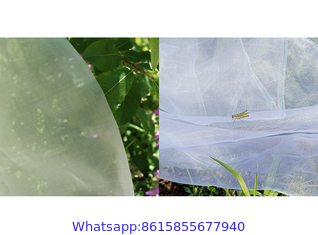 Insect-Proof Net, Crops Protection Net Against Insects And Pests