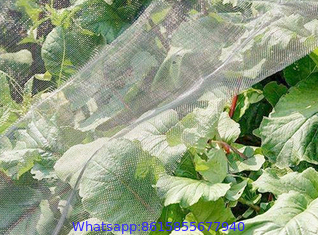 Insect-Proof Net, Crops Protection Net Against Insects And Pests