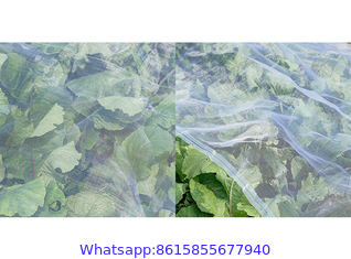 Insect-Proof Net, Crops Protection Net Against Insects And Pests