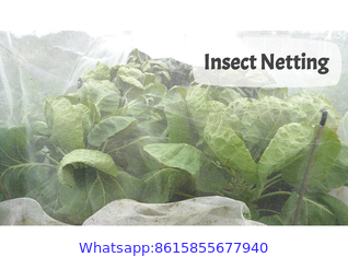 Greenhouse Protection Nets & Insect Screens