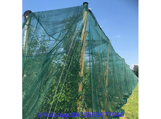 Greenhouse Protection Nets & Insect Screens