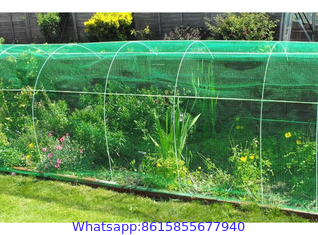 Greenhouse Protection Nets & Insect Screens