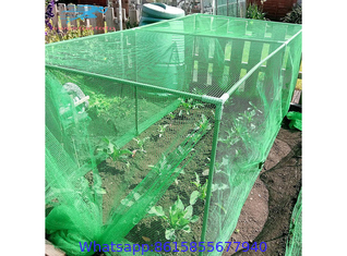 Greenhouse Protection Nets & Insect Screens