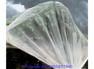 Anti Hail Net Protects Crops and Fruits From Hail