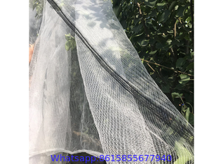 Anti Hail Net Protects Crops and Fruits From Hail