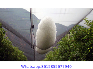 Apple Orchard Anti-Hail Net,Woven Nets to Protect Plants