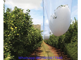 Apple Orchard Anti-Hail Net,Woven Nets to Protect Plants