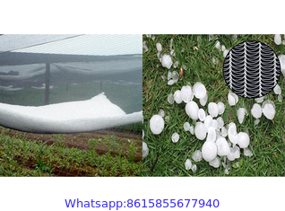 Hail Netting Protecting Your Crops, Fruit Trees and Gardens