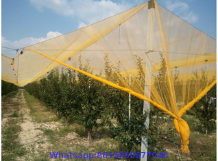 Anti-Hail Net, Woven Nets to Protect Plants