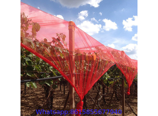 Anti-Hail Net, Woven Nets to Protect Plants