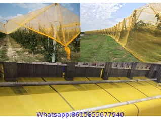 Anti-Hail Net, Woven Nets to Protect Plants