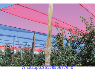 Anti-Hail Net, Woven Nets to Protect Plants