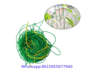 Plant Climbing Net