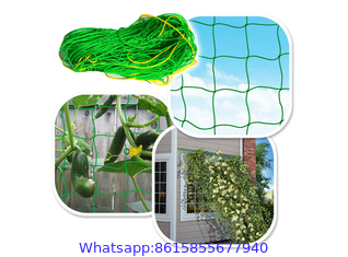 Plant Climbing Net