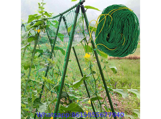 Plant Climbing Net