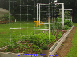 Vegetable Plant Supporting Net