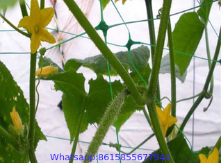 Vine and Veggie Trellis Netting