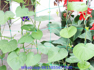 Vine and Veggie Trellis Netting