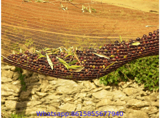 Olive Picking Nets, Fruit Harvest Net
