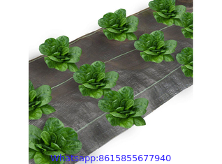 PP Woven Weed Mat, Weed Barrier Fabric