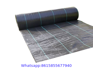 Polypropylene Woven Plastic Ground Cover, PP Weed Control Mat Woven Fabric