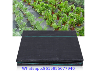 Polypropylene Woven Plastic Ground Cover, PP Weed Control Mat Woven Fabric