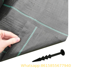 China Woven Ground Cover - Weed Barrier Fabric supplier