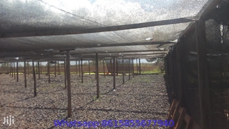 Greenhouse Shade Net