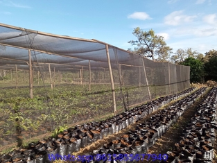 Greenhouse Shade Net