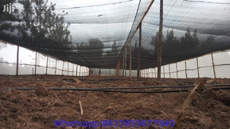 Greenhouse Shade Net