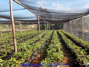 Greenhouse Shade Net