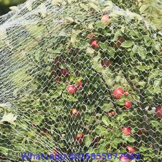 Commercial Bird Netting,10ft/25ft W