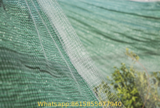 Plastic Net Fence 2m x 100m Garden Fencing Crop Pond Vegetable Protection -Bird Netting, Fruit Cages, Dog Barrier