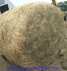 Round Bale Net Wrap with Easy Removal and UV Stability