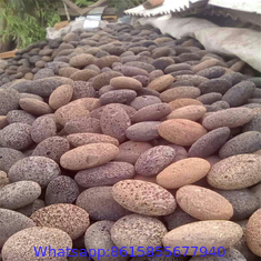 natural stone volcanic pumice lava stone for feet wholesaler