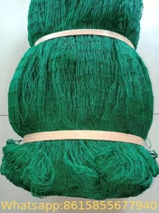 Philippines Polypropylene Multifilament Net Green Color Fishing Net, Agriculture Net