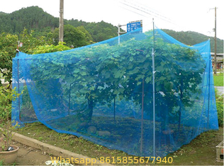 Agricultural Anti Insect Net for Vegetable Gardens Insect Mesh