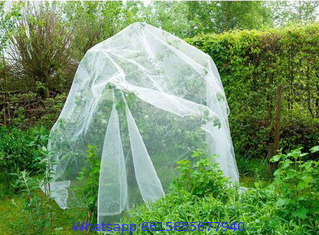 Agricultural Anti Insect Net for Vegetable Gardens Insect Mesh