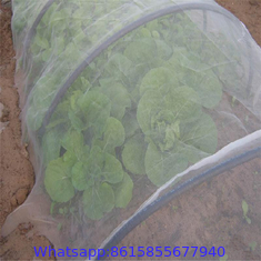 anti insect repel protection net HDPE 40 50 mesh 45g 60g 70g agricultural insect net
