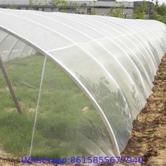 Low Cost Agricultural Greenhouse Anti Insect Proof Plastic Net