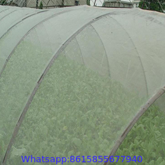 Low Cost Agricultural Greenhouse Anti Insect Proof Plastic Net