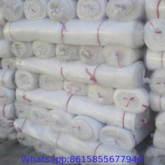 100% HDPE raw material agricultural greenhouse insect net