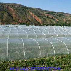 100% HDPE raw material agricultural greenhouse insect net